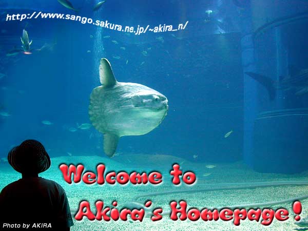 Welcome to AKIRA's Homepage!