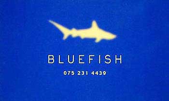 blue fish S
